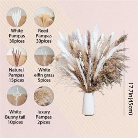 img 2 attached to 🍂 WILD AUTUMN 92 Pcs Luxury Gift Box: Natural Dried Pampas Grass Bouquet for Boho Wedding Decor & Home Decoration