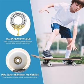 img 3 attached to 🛹 Beginners’ Skateboard FONTE Skateboards 31X7 88Inch – The Perfect Choice for Novice Riders