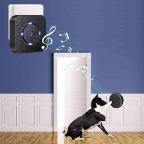 img 3 attached to Efficient Potty Training: EverNary Dog Door Bell - Wireless Touch Button Doggie Doorbell with Waterproof Dog Bells, Receiver & Transmitters