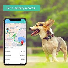 img 1 attached to 🐶 PETFON Питомник GPS-трекер для собак - Без ежемесячной платы, Устройство для отслеживания в реальном времени с управлением приложением (Посвящено собакам)