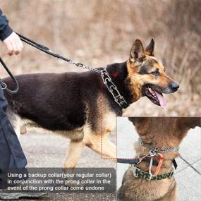 img 1 attached to Pettycart Durable Stainless Training Collars