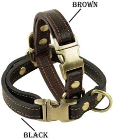 img 1 attached to 🐶 Jingwy Genuine Leather Dog Collar - All Natural and available in 3 Sizes for Small, Medium, and Large Pets - Brown and Black Options