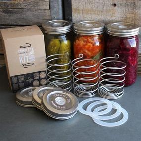 img 1 attached to 🍽️ Trellis + Co. Stainless Steel Fermentation Jar Kit with Waterless Fermenter Airlock Lids and Pickle Helix Fermentation Weights for Wide Mouth Mason Jars - Includes Recipe eBook