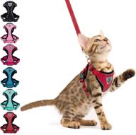 🐱 escape-proof reflective cat harness and leash set - breathable mesh vest for walking cats & puppies - easy control, ideal for small, medium, and large pets logo