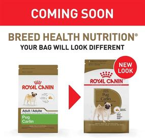 img 1 attached to 🐶 Dry Dog Food by Royal Canin