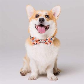 img 3 attached to 🐶 Malier 2 Pack Dog Collar with Bow tie: Stylish Flower Pattern & Adjustable Buckle for Small Medium Large Dogs