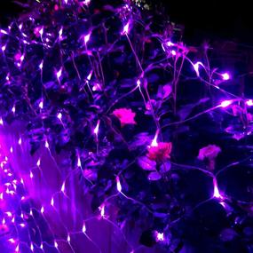 img 3 attached to 🎄 RENUS 10x6.5Ft 320 LED Net Lights Indoor String Lights Party Christmas Xmas Wedding Home Garden Decorations 8 Modes for Flashing in Purple