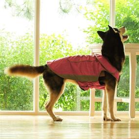 img 2 attached to Stay Warm and Protected on Outdoor Adventures: ThinkPet Waterproof Reflective Dog Jacket - Size L (Pink)