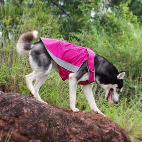 img 3 attached to Stay Warm and Protected on Outdoor Adventures: ThinkPet Waterproof Reflective Dog Jacket - Size L (Pink)