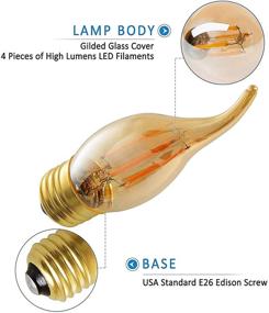 img 3 attached to 💡 Dimmable Equivalent Candelabra Filament Bulb by Panledo