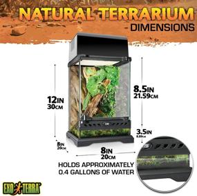 img 3 attached to Exo Terra Nano Tall Glass Natural Terrarium Kit for Reptiles and Amphibians - 8 x 8 x 12 inches (PT2601A1)