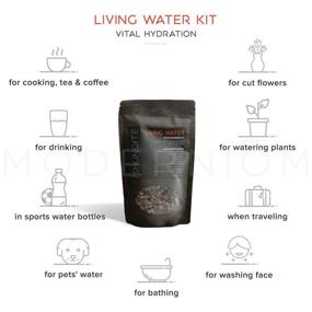 img 1 attached to 💧 Experience the Power of Modern ŌM Shungite Living Water Kit: Authentic Elite Shungite Detoxification Stone Gravel Pouch for Natural Water Purification, Neutralizing Bacteria & Boosting Antioxidants (50g)