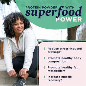 img 2 attached to 🌱 Ancient Nutrition Organic Plant Protein +, Vegan Vanilla Protein Powder, Dr. Josh Axe Formulation, Dairy-Free, Gluten-Free, Non-GMO, Sugar-Free, Paleo Friendly Supplement 11.5 oz