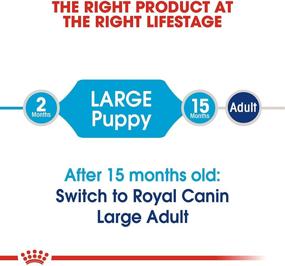 img 1 attached to 🐶 35 lb bag of Royal Canin Large Puppy Dry Dog Food