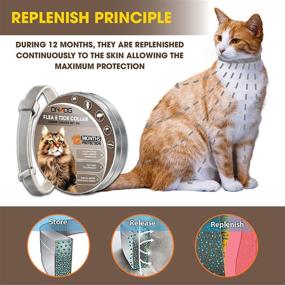 img 2 attached to 🐱 EnerCal Cat Collar - Adjustable Treatment Collar for Cats with Natural Essential Oils - Suitable for All Cats and Pets - Easy to Use - Waterproof Collar - Provides 12-Month Protection - Length of 13 inches