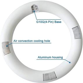 img 1 attached to Required Replacement Fluorescent Circline Circular