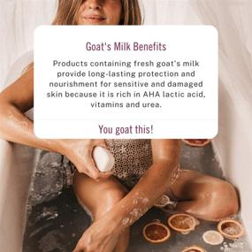 img 1 attached to Canus Bar Soap with Fresh Canadian Goat Milk: Nature's Vitamin A, B3, Potassium, Zinc, and Selenium Infused, Fragrance Free, 5 Ounce