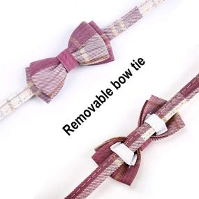 img 1 attached to MosBug 2 Pack/Set Cat Collar Breakaway with Adorable Bow Tie and Bell for Feline Friends and Small Pups