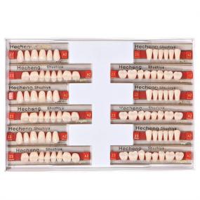 img 4 attached to Анджили 84 шт. зубные полные съемные протезы из акриловой смолы: 3 комплекта синтетических полимерных смол для зубных протезов, 23 оттенка A2 верхние + нижние зубные материалы