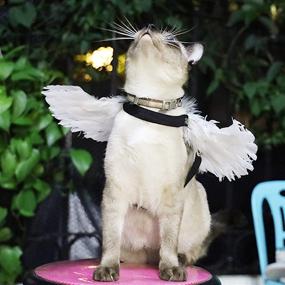 img 1 attached to iKiKin Pet Wings Halloween Costume - Angelic Dress Up Outfit with Hand-Crafted Feather Wings for Dogs and Cats - Ideal for Cosplay, Parties, and Special Events