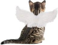 ikikin pet wings halloween costume - angelic dress up outfit with hand-crafted feather wings for dogs and cats - ideal for cosplay, parties, and special events логотип