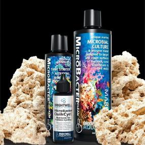 img 2 attached to 🔬 Revolutionize Your Tank with Brightwell Aquatics MicroBacter Dry Rock Bacteria Starter Kit