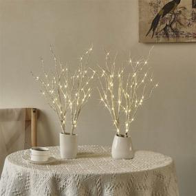 img 1 attached to Hairui 18IN Lighted Birch Branches with Timer - 70 White Willow LED Twig Lights for Christmas Wedding Décor - Indoor/Outdoor Battery Operated (Vase Excluded)