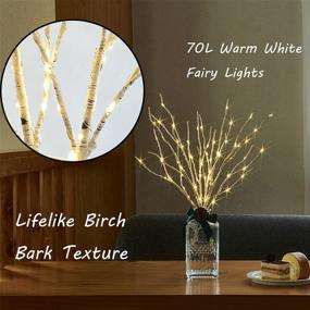 img 2 attached to Hairui 18IN Lighted Birch Branches with Timer - 70 White Willow LED Twig Lights for Christmas Wedding Décor - Indoor/Outdoor Battery Operated (Vase Excluded)