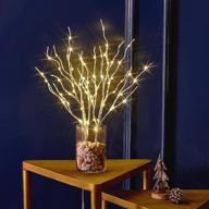 hairui 18in lighted birch branches with timer - 70 white willow led twig lights for christmas wedding décor - indoor/outdoor battery operated (vase excluded) логотип