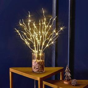 img 4 attached to Hairui 18IN Lighted Birch Branches with Timer - 70 White Willow LED Twig Lights for Christmas Wedding Décor - Indoor/Outdoor Battery Operated (Vase Excluded)