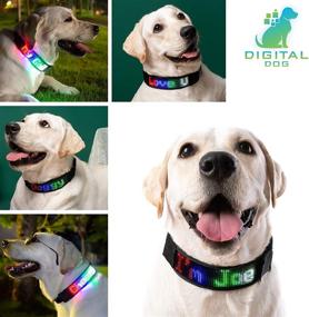 img 3 attached to 🐶 Bluetooth Programmable LED Dog Collar - PetLuv Digital Interactive Safety Collar with Reflective Lights, Scrolling & Multi-Colored Personalized Text/Graphics, App Controlled for Nighttime Visibility