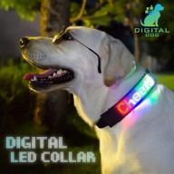 🐶 bluetooth programmable led dog collar - petluv digital interactive safety collar with reflective lights, scrolling & multi-colored personalized text/graphics, app controlled for nighttime visibility logo