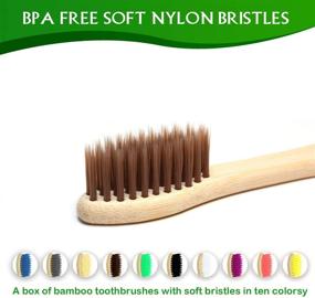 img 2 attached to 🌿 Natural Bamboo Charcoal Toothbrushes with Soft Bristles - Pack of 10, Eco-Friendly & Biodegradable Wood Toothbrushes