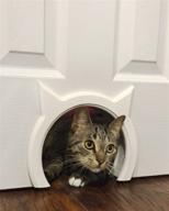 🐾 the kitty pass: a convenient hidden litter box pet door for cats up to 21 lbs logo