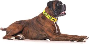 img 3 attached to Цена L XXL Удушающие ошейники FriendlyDogCollars