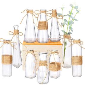 img 4 attached to 🏺 Set of 10 Nilos Small Bud Glass Vases - Mini Clear Flower Vase with Rope Design, Unique Shapes for Home Decoration