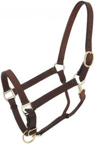 img 1 attached to Adjustable Leather Stable Halter with Snap by Tough 1