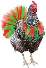 img 3 attached to 🐓 Vehomy Chicken Christmas Costume: Hen Xmas Skirt Tutu, Collar Bandana & Coop Decoration Kit + Xmas Hen Toys (2Pcs)