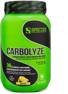 🍌 carbolyze carbohydrate powder: maximize workout gains with bloat-free formula, high molecular weight micronized carbs - sugar free, banana flavor (40 servings) logo