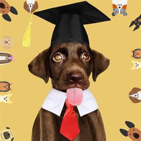 img 3 attached to 🎓 Pet Graduation Caps with Neck Tie Set - Adjustable Hats and Collar for Dogs Cats - Perfect Photography Props and Outfits for Pets Graduation Party - Dress Costume Accessory in Red