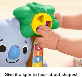 img 1 attached to 🐨 Fisher-Price Linkimals Подсчет коала: Занимательная музыкальная игрушка для младенцев и малышей