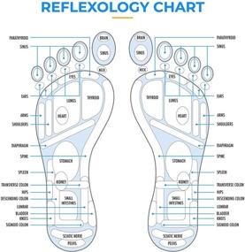 img 1 attached to 👣 Daiwa Felicity Foot Massager Reflexology Mat: Revitalize with Magnetic Therapy & Acupressure Disc