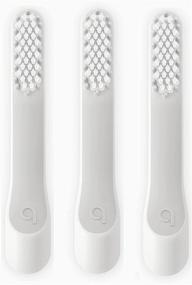 img 3 attached to 🪥 Quip Electric Toothbrush Replacement Heads - 3 Packs for Electric Brush (Heads Only)