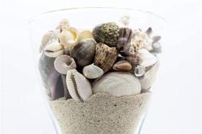 img 1 attached to 🏖️ 3 lbs of Genuine Roccia Sand - All-Natural Shade for Interior Decor, Vase Fillers, Sand Crafts, Nautical Theme Designs, and More