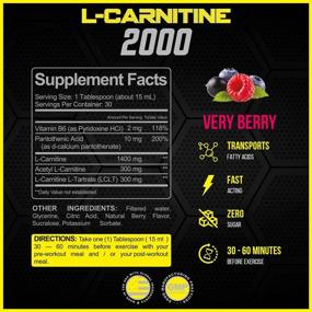 img 3 attached to 🍇 Forzagen L-Carnitine 2000: Powerful Liquid L-Carnitine with Vitamin B6, Acetyl L-Carnitine, L-Tartrate – 30 Servings (Very Berry)