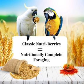 img 3 attached to 🦜 Premium Nutri-Berries: Non-GMO, Human-Grade Food for Macaws & Cockatoos