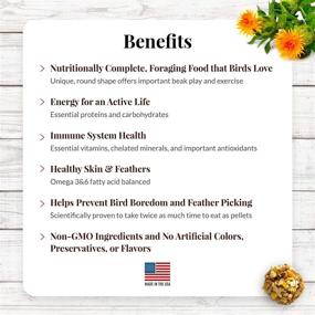 img 2 attached to 🦜 Premium Nutri-Berries: Non-GMO, Human-Grade Food for Macaws & Cockatoos