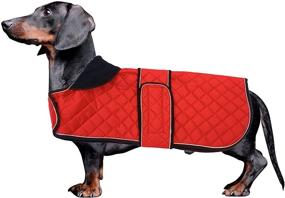 img 4 attached to 🐶 Dachshund Coat - Morezi Dachshund Winter Coat with Adjustable Bands, Padded Fleece Lining - Outdoor Dog Apparel for Optimal Protection