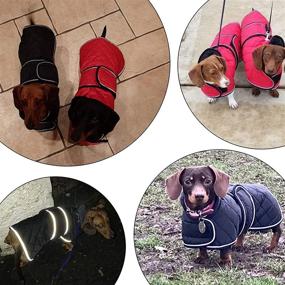 img 2 attached to 🐶 Dachshund Coat - Morezi Dachshund Winter Coat with Adjustable Bands, Padded Fleece Lining - Outdoor Dog Apparel for Optimal Protection