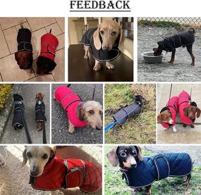 img 3 attached to 🐶 Dachshund Coat - Morezi Dachshund Winter Coat with Adjustable Bands, Padded Fleece Lining - Outdoor Dog Apparel for Optimal Protection